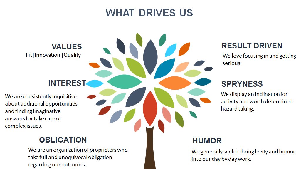 What Drives us